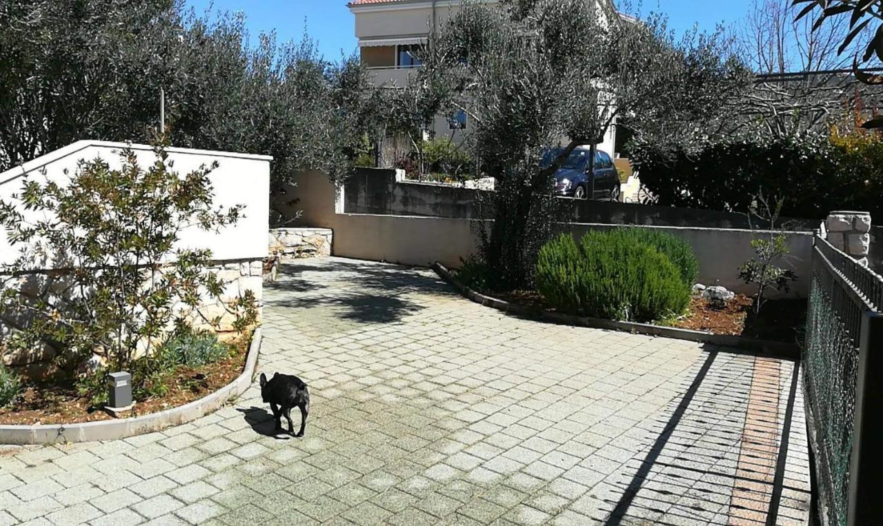 Apartment Vera Cres