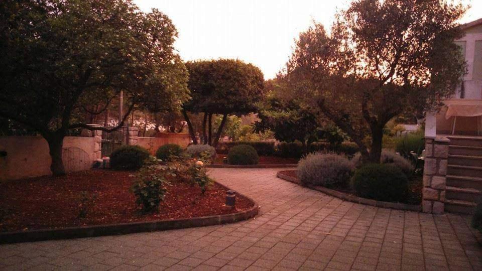 Vera Cres